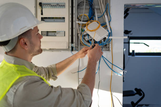 Best Electric Panel Repair  in Cheviot, OH